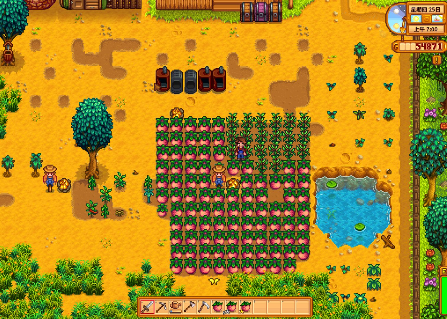 糖豆人：终极淘汰赛 豪华版 截图11