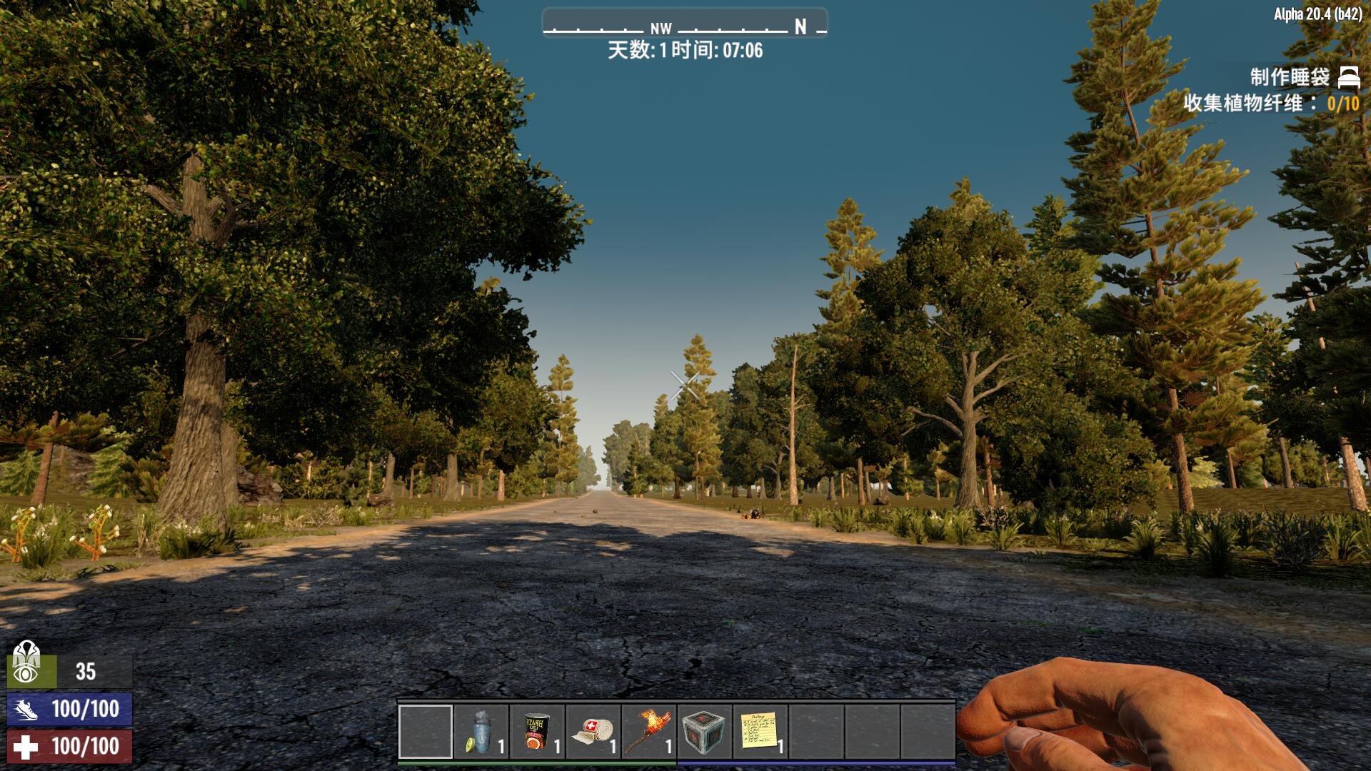 泰拉瑞亚 豪华版 截图3